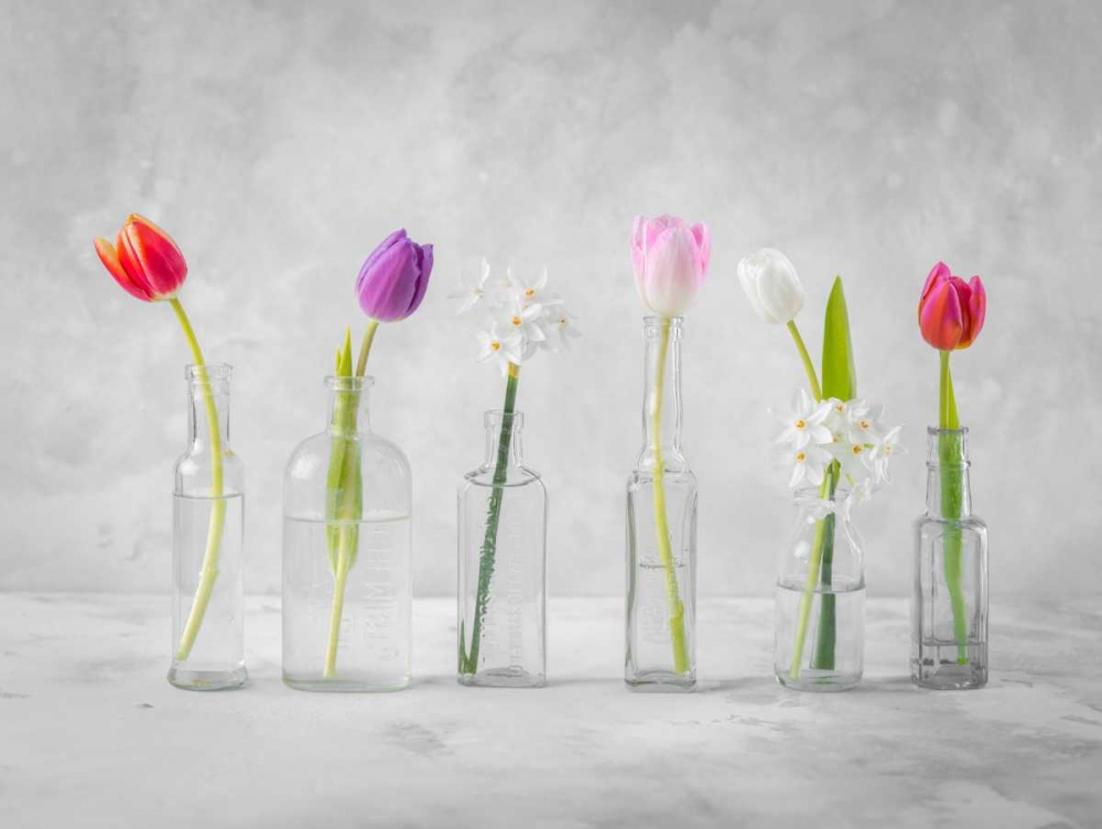 Ranuncuclus flowers in glass bottles art print by Assaf Frank for $57.95 CAD