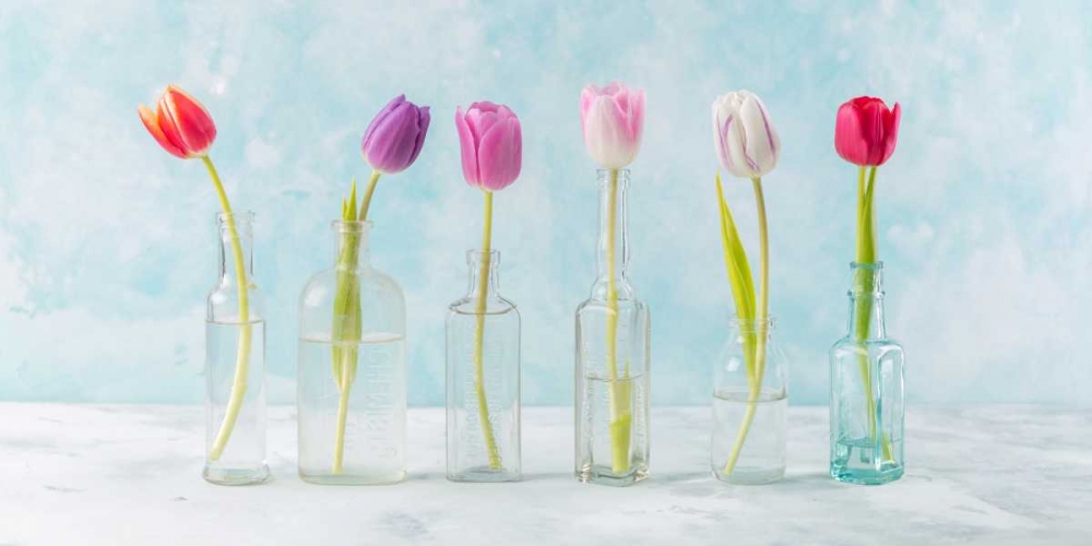 Ranuncuclus flowers in glass bottles art print by Assaf Frank for $57.95 CAD