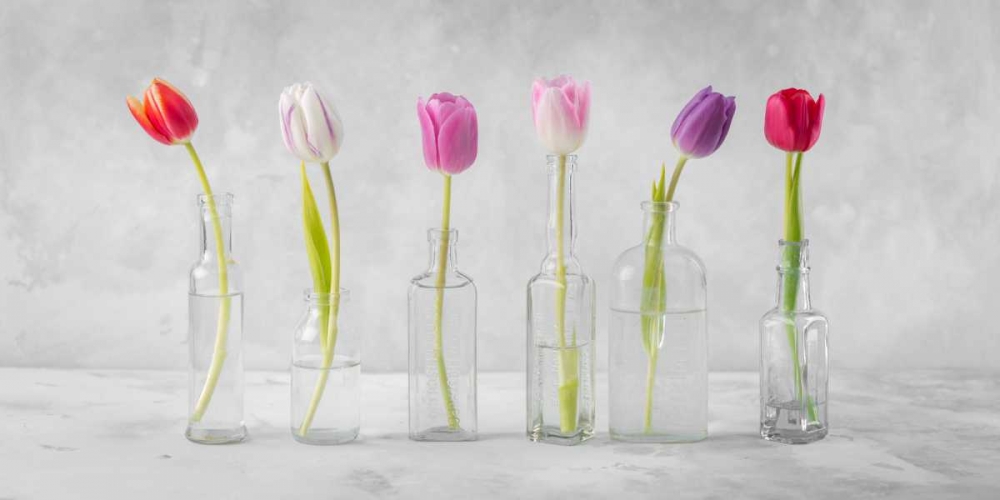 Ranuncuclus flowers in glass bottles art print by Assaf Frank for $57.95 CAD