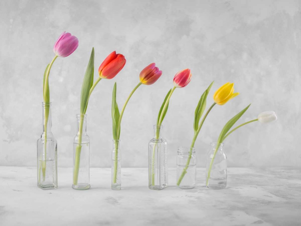 Ranuncuclus flowers in glass bottles art print by Assaf Frank for $57.95 CAD