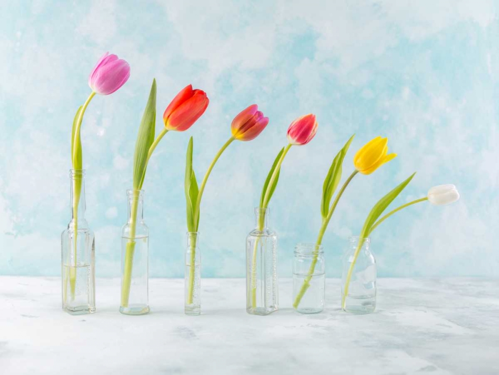 Ranuncuclus flowers in glass bottles art print by Assaf Frank for $57.95 CAD