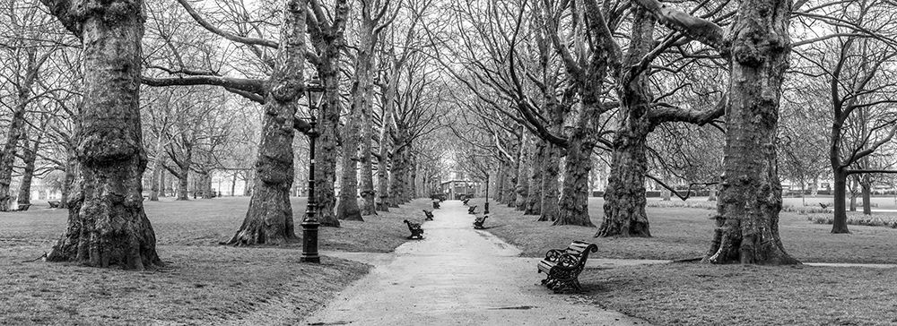 Avenue of trees, Green Park, London, FTBR-1839 art print by Assaf Frank for $57.95 CAD