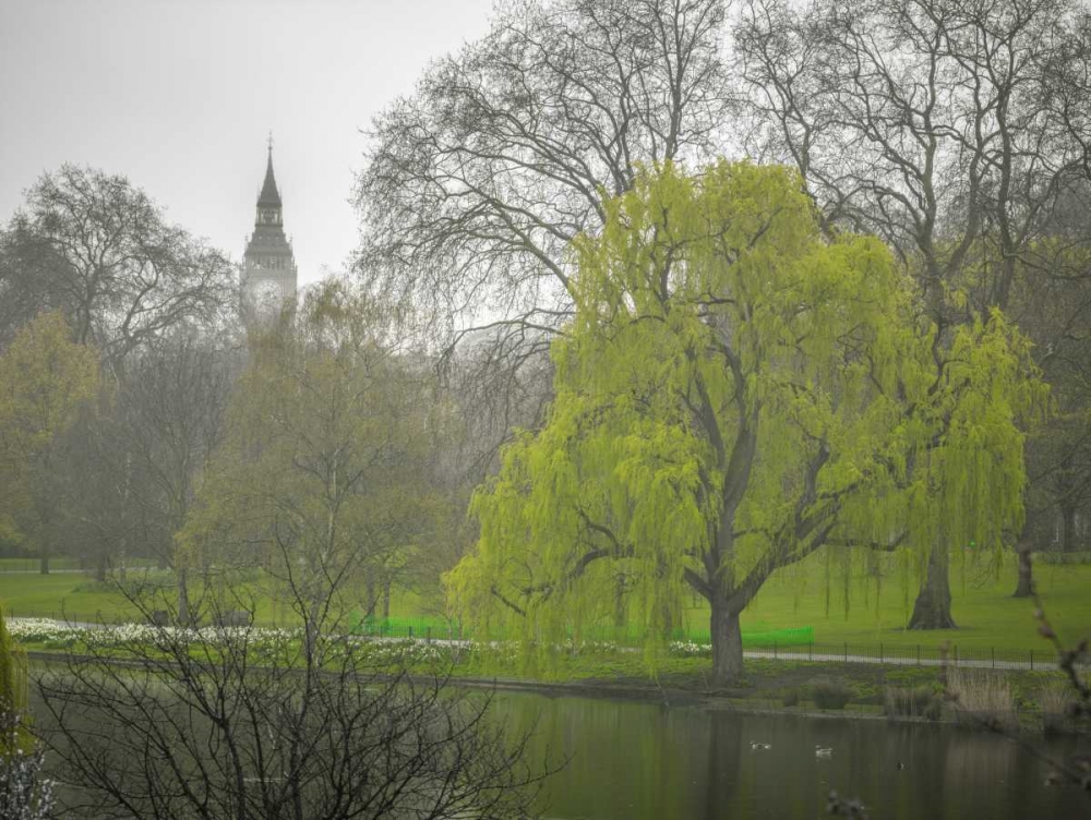 St James Park, London art print by Assaf Frank for $57.95 CAD