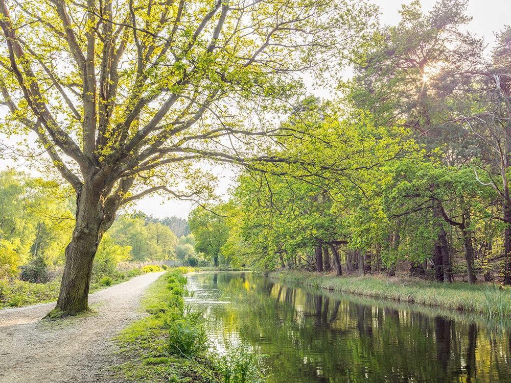 Canal on a spring day art print by Assaf Frank for $57.95 CAD