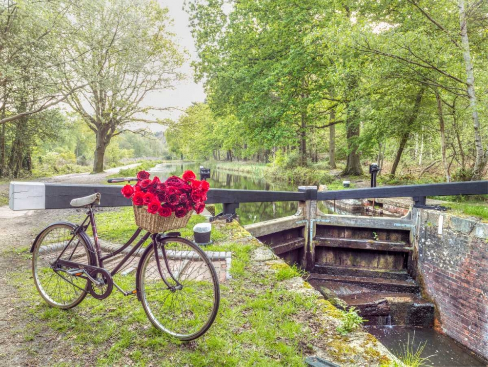Bicycle with bunch of white roses by the canal art print by Assaf Frank for $57.95 CAD