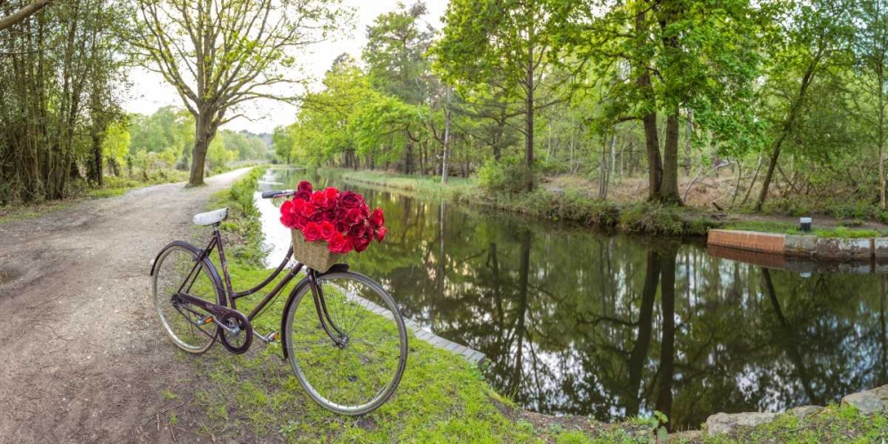 Bicycle with bunch of red roses by the canal art print by Assaf Frank for $57.95 CAD