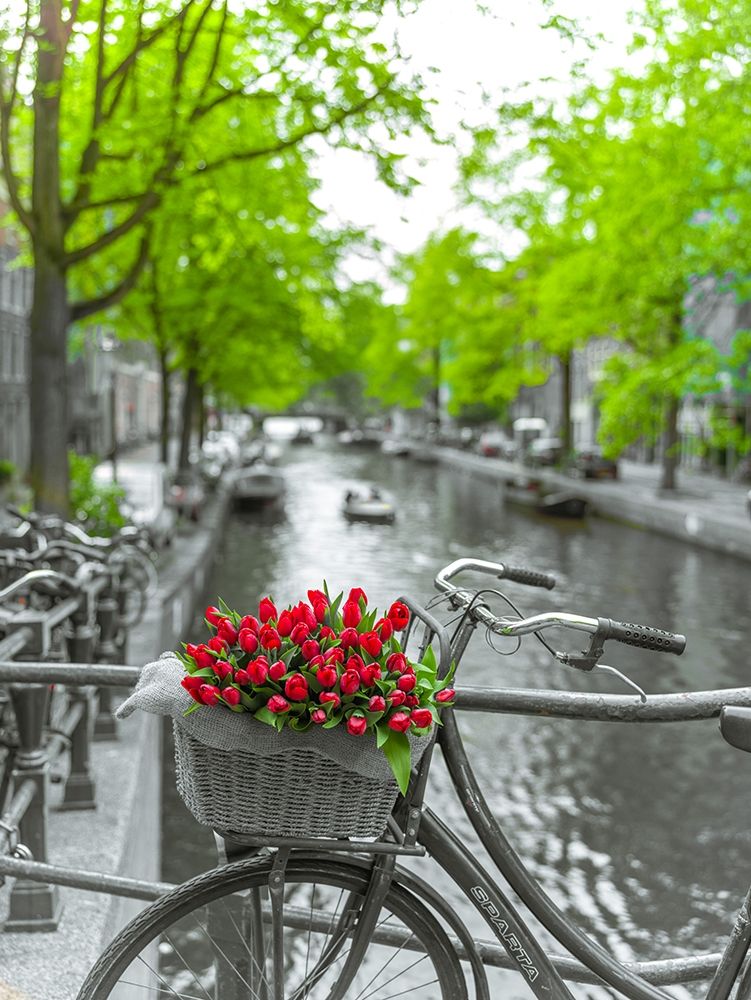 Bicycle with bunch of flowers by the canal-Amsterdam art print by Assaf Frank for $57.95 CAD