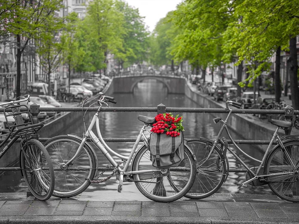 Bicycle with bunch of flowers by the canal, Amsterdam art print by Assaf Frank for $57.95 CAD