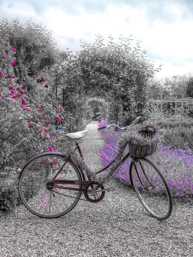 Bicycle on a garden path art print by Assaf Frank for $57.95 CAD