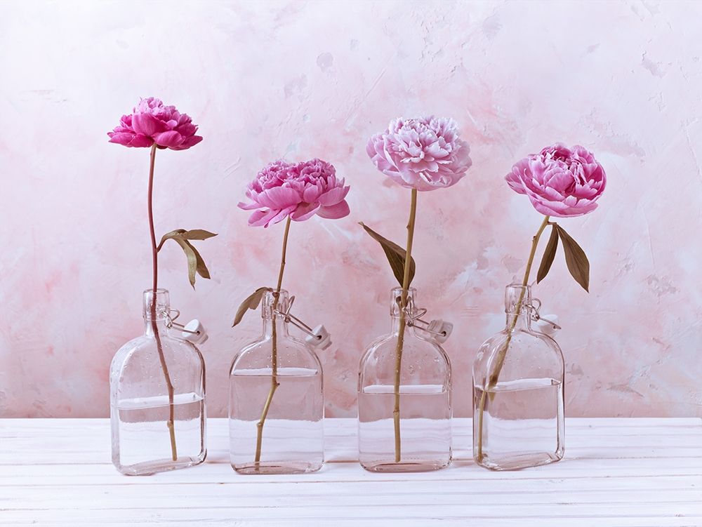 Peonies in glass bottles art print by Assaf Frank for $57.95 CAD