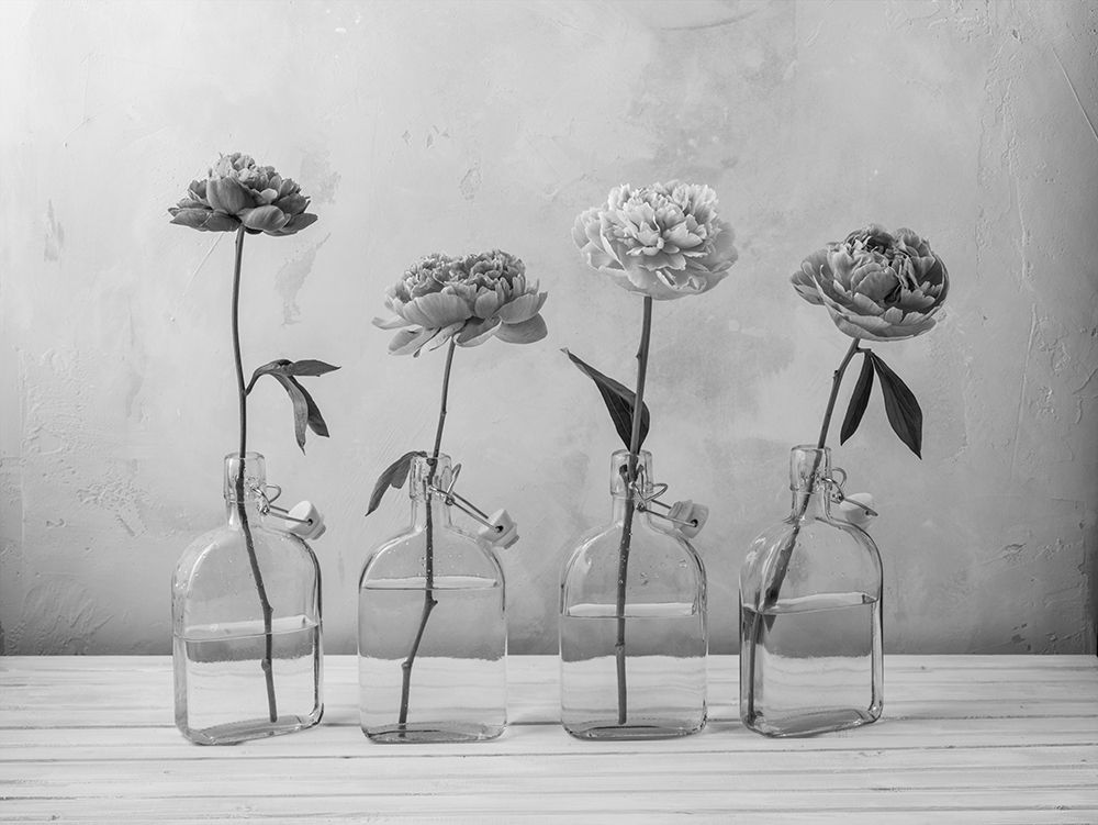 Peonies in glass bottles art print by Assaf Frank for $57.95 CAD