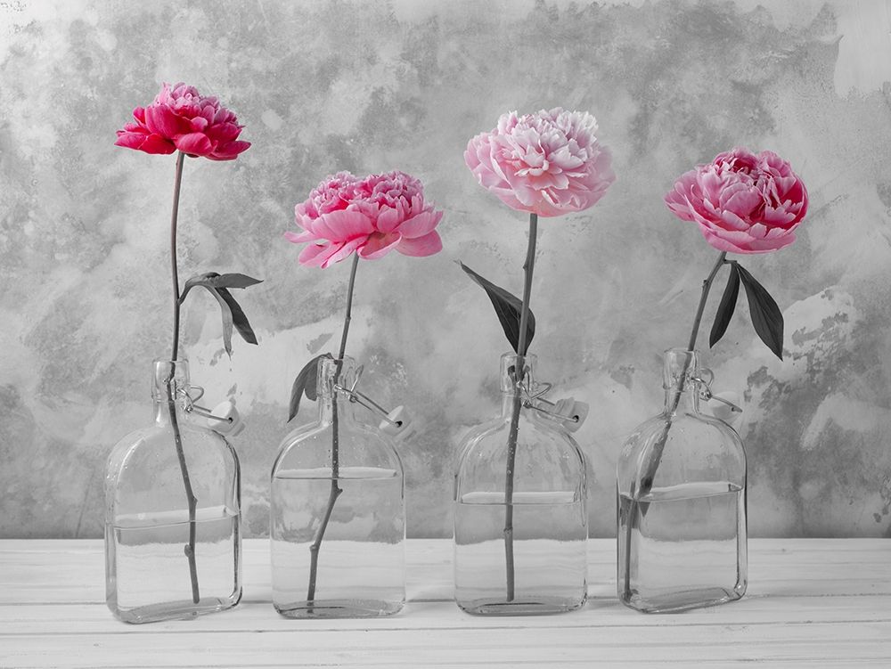 Peonies in glass bottles art print by Assaf Frank for $57.95 CAD