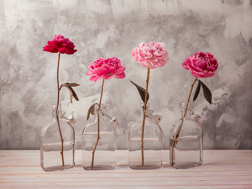 Peonies in glass bottles art print by Assaf Frank for $57.95 CAD