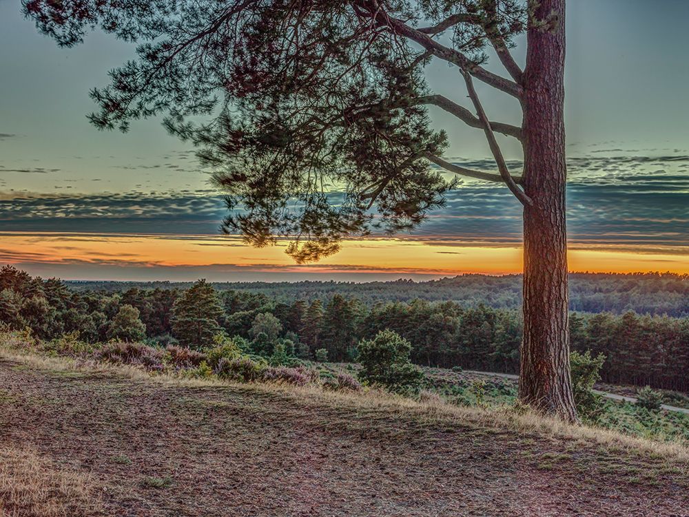 Beautiful landscape in countryside art print by Assaf Frank for $57.95 CAD