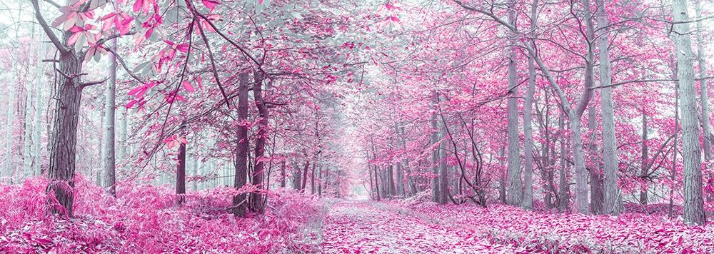 Pathway through Autumn forest art print by Assaf Frank for $57.95 CAD