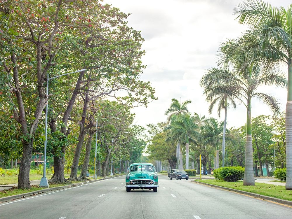 Vintage car on a road with palm trees, Cuba art print by Assaf Frank for $57.95 CAD