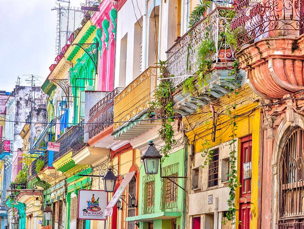 Colorful houses in Havana art print by Assaf Frank for $57.95 CAD