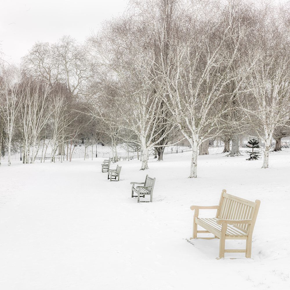 Hyde Park during winter, London, UK art print by Assaf Frank for $57.95 CAD