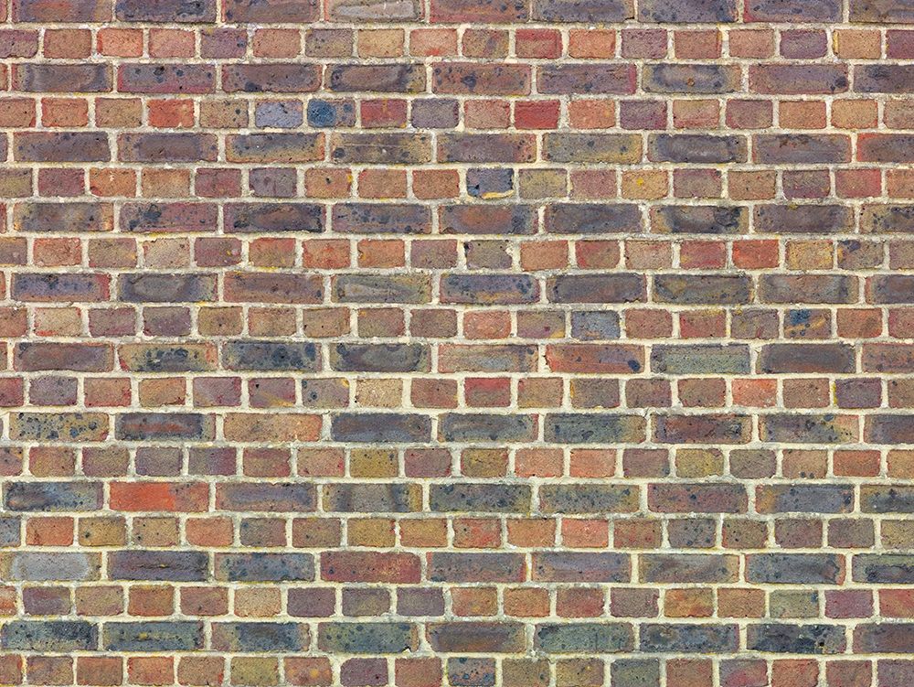 Brickwall art print by Assaf Frank for $57.95 CAD
