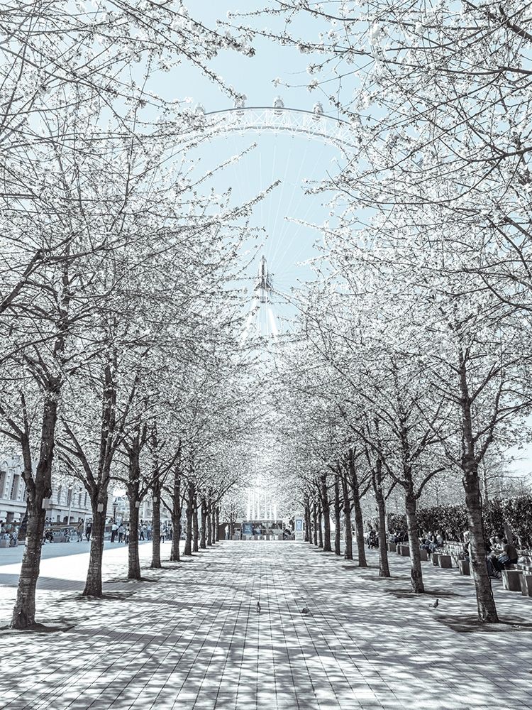 Millennium Wheel-London-UK art print by Assaf Frank for $57.95 CAD