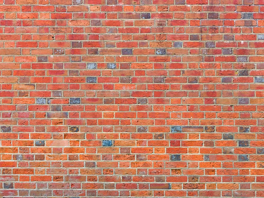 Brick wall art print by Assaf Frank for $57.95 CAD