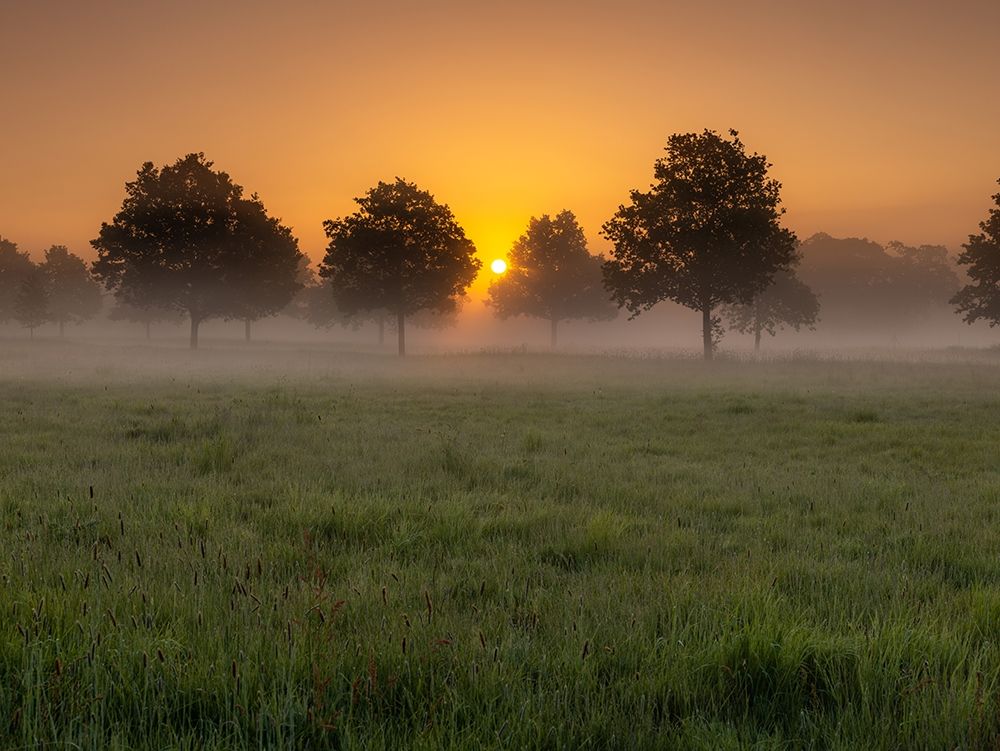 Misty sunrise in countryside-Berkshire-UK art print by Assaf Frank for $57.95 CAD