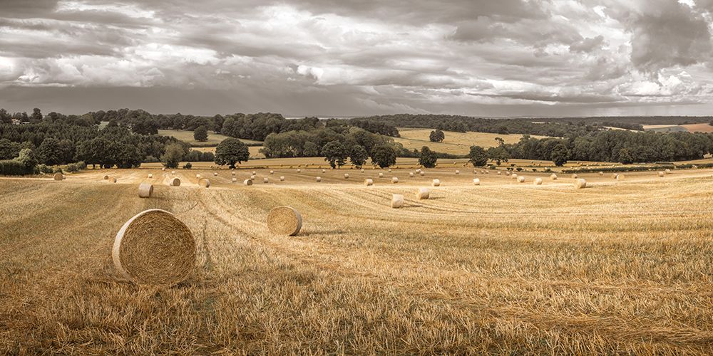 Haystack on fields art print by Assaf Frank for $57.95 CAD
