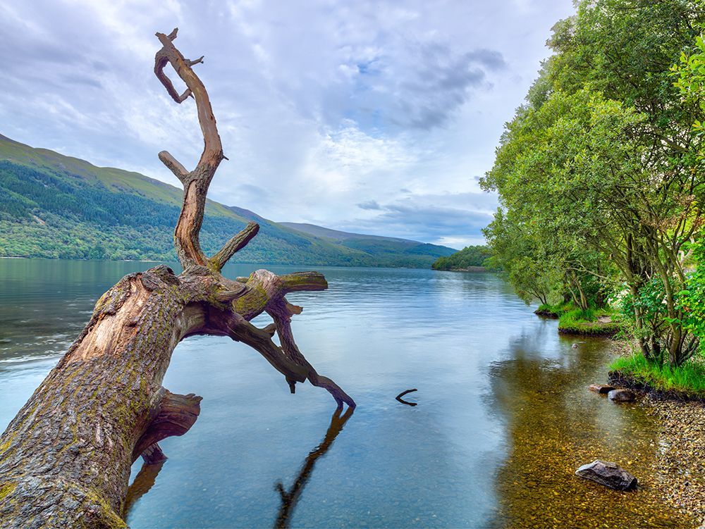 Scottish Loch art print by Assaf Frank for $57.95 CAD