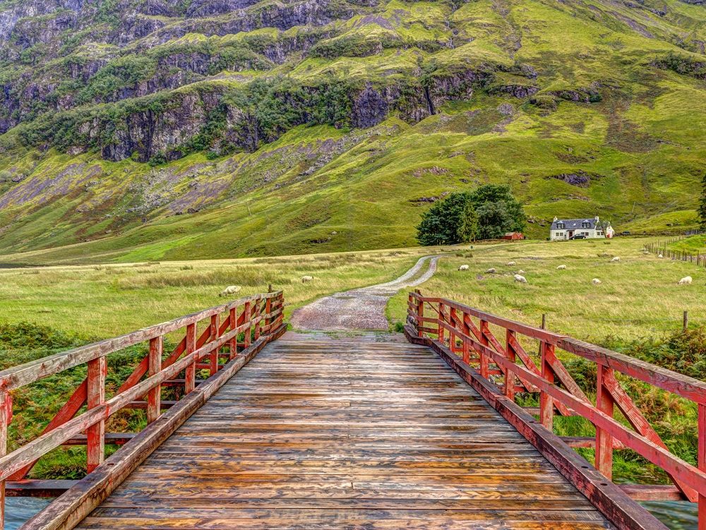 Wooden bridge over water stream at Glen Coe valley-Scotland art print by Assaf Frank for $57.95 CAD