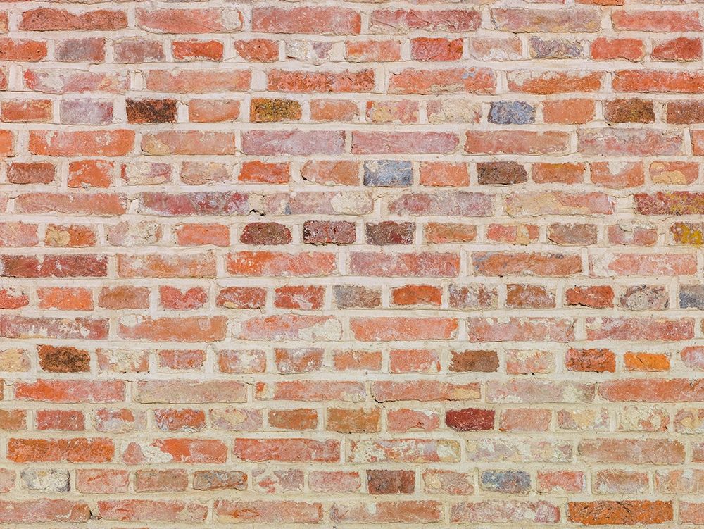 Brick Wall art print by Assaf Frank for $57.95 CAD