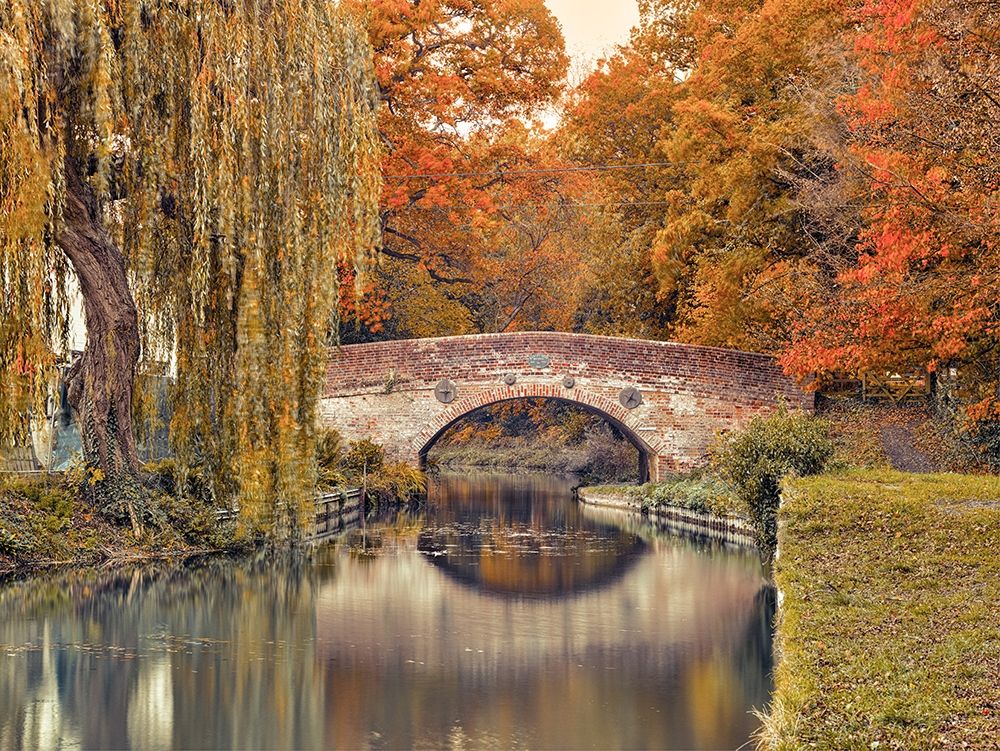 Bridge over a canal art print by Assaf Frank for $57.95 CAD