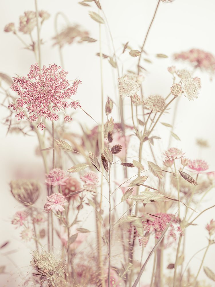Meadow Flowers art print by Assaf Frank for $57.95 CAD