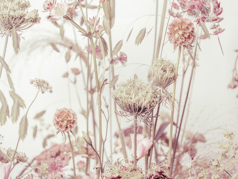 Meadow Flowers art print by Assaf Frank for $57.95 CAD