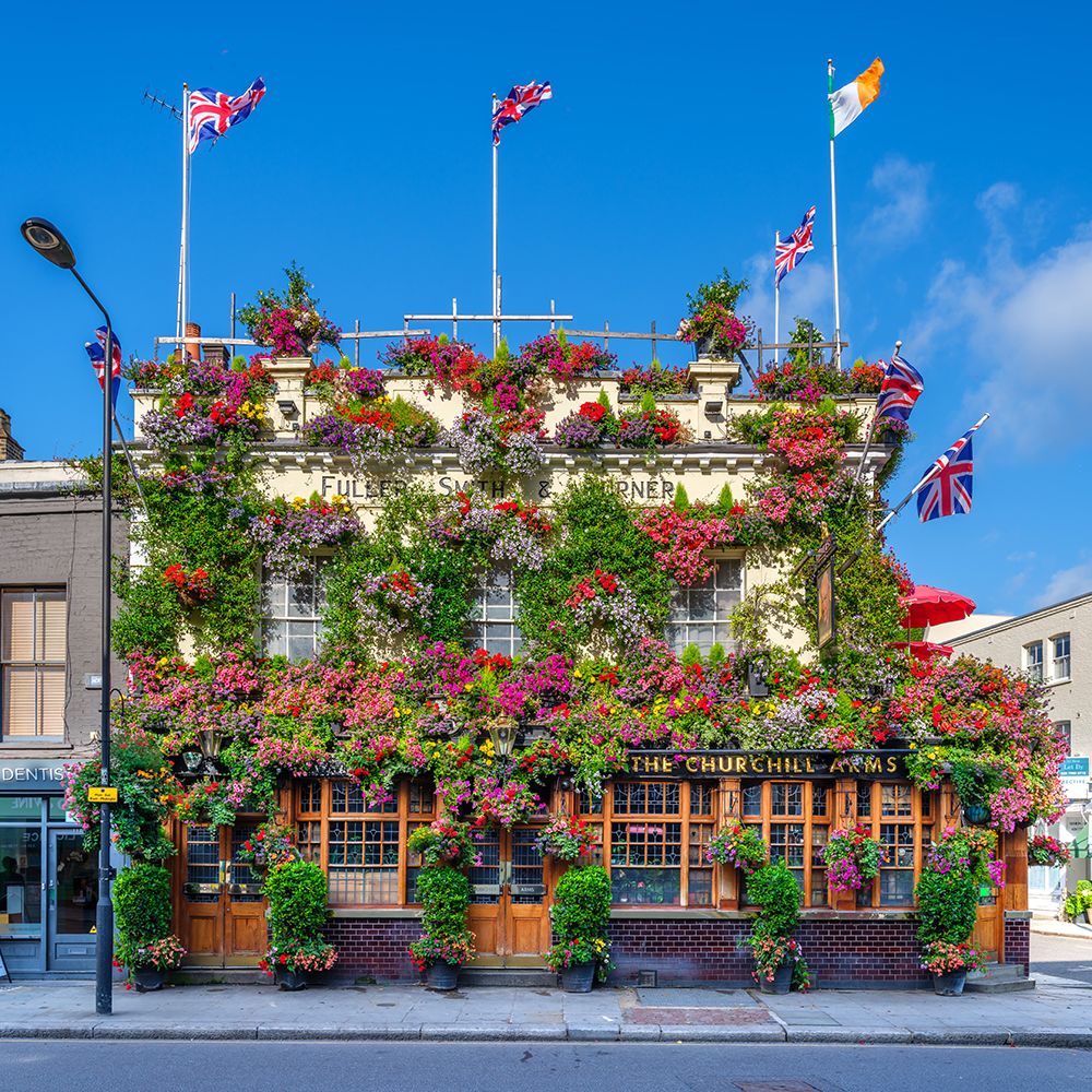 The Churchill Arms pub, London art print by Assaf Frank for $57.95 CAD