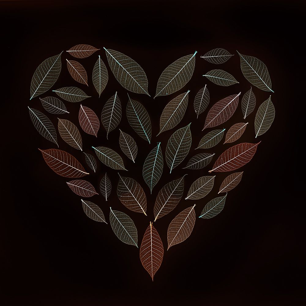 Skeleton leaves heart on black background art print by Assaf Frank for $57.95 CAD