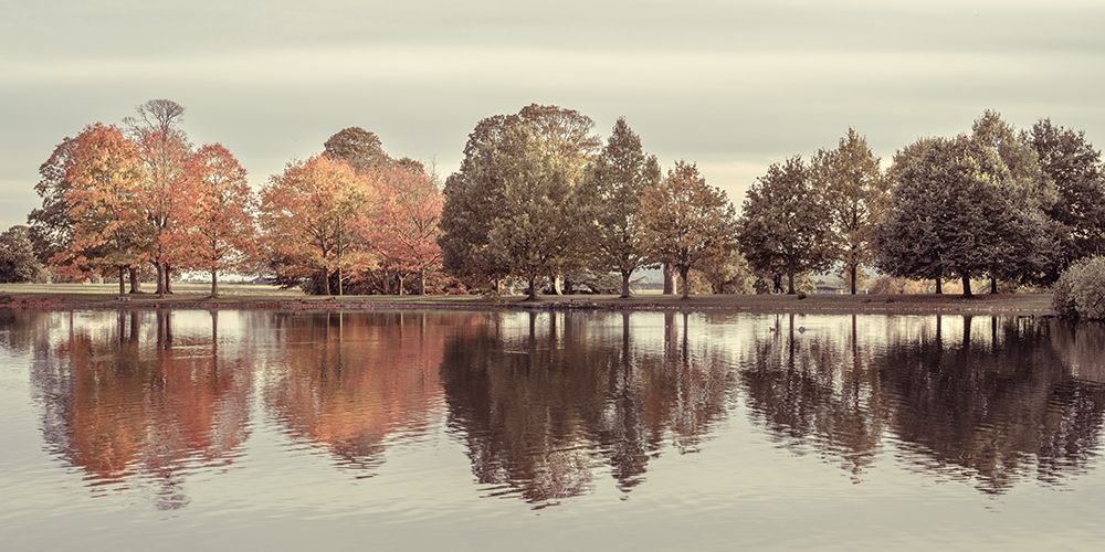 Reflection of autumn trees in a still lake. art print by Assaf Frank for $57.95 CAD