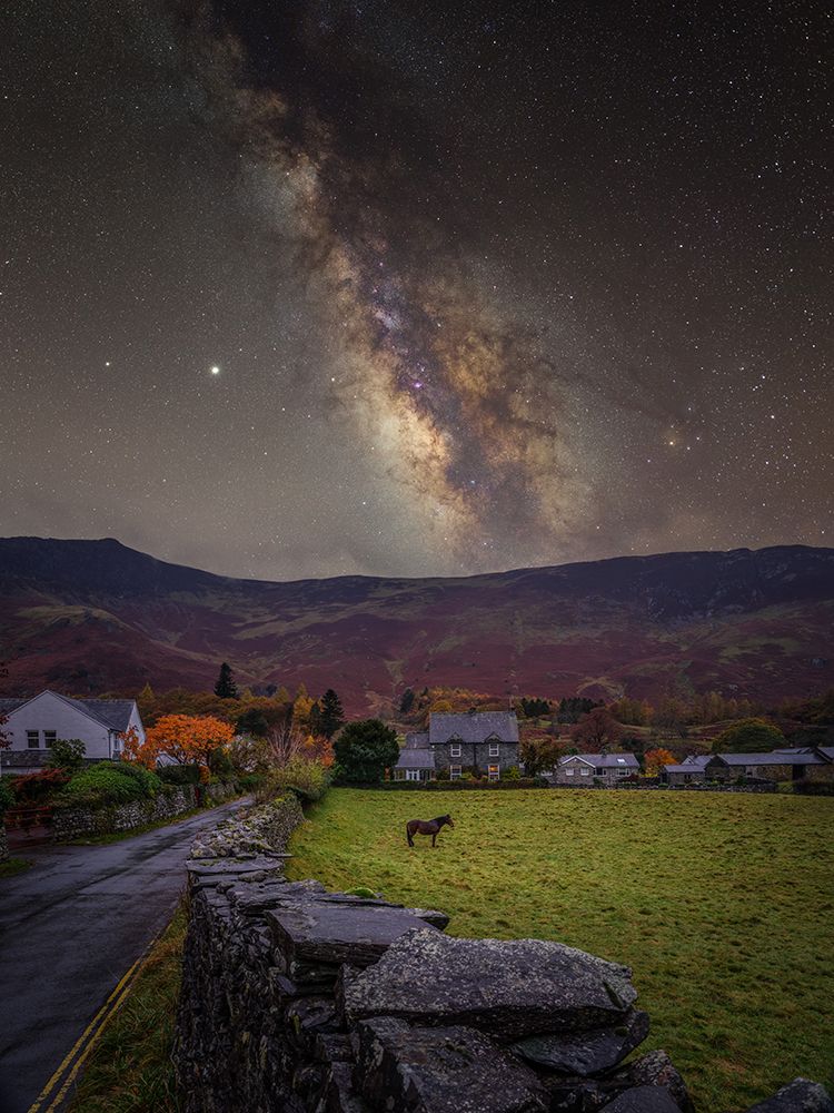 Horse under the stras, Grange, Borrowdale,-District art print by Assaf Frank for $57.95 CAD