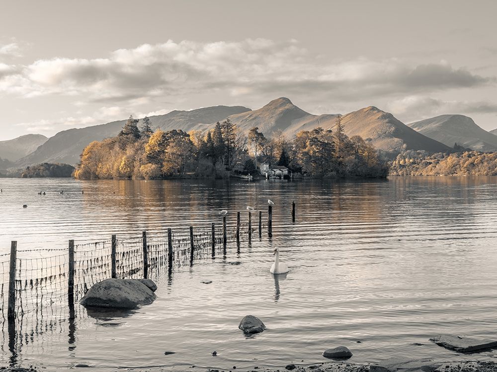 Morning at Derwent island-Derwentwater art print by Assaf Frank for $57.95 CAD