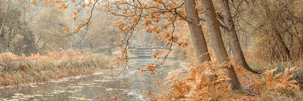 Canal through a forest art print by Assaf Frank for $57.95 CAD