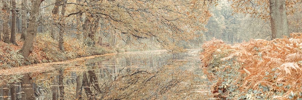 Canal through a forest art print by Assaf Frank for $57.95 CAD