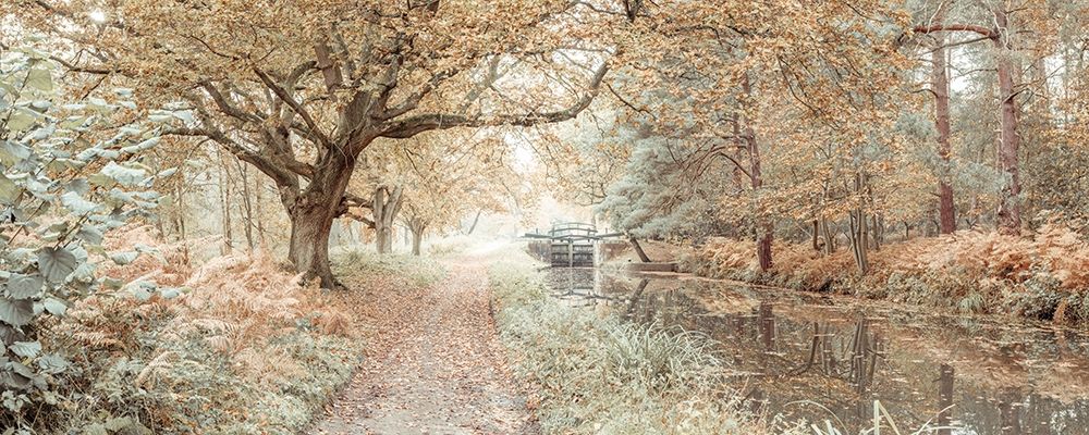 Canal through a forest art print by Assaf Frank for $57.95 CAD
