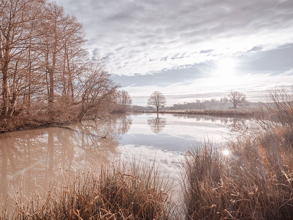 Pond reflection art print by Assaf Frank for $57.95 CAD