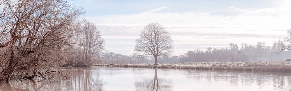 Pond in forest art print by Assaf Frank for $57.95 CAD
