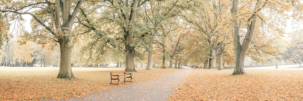 Pathway through autumn park art print by Assaf Frank for $57.95 CAD