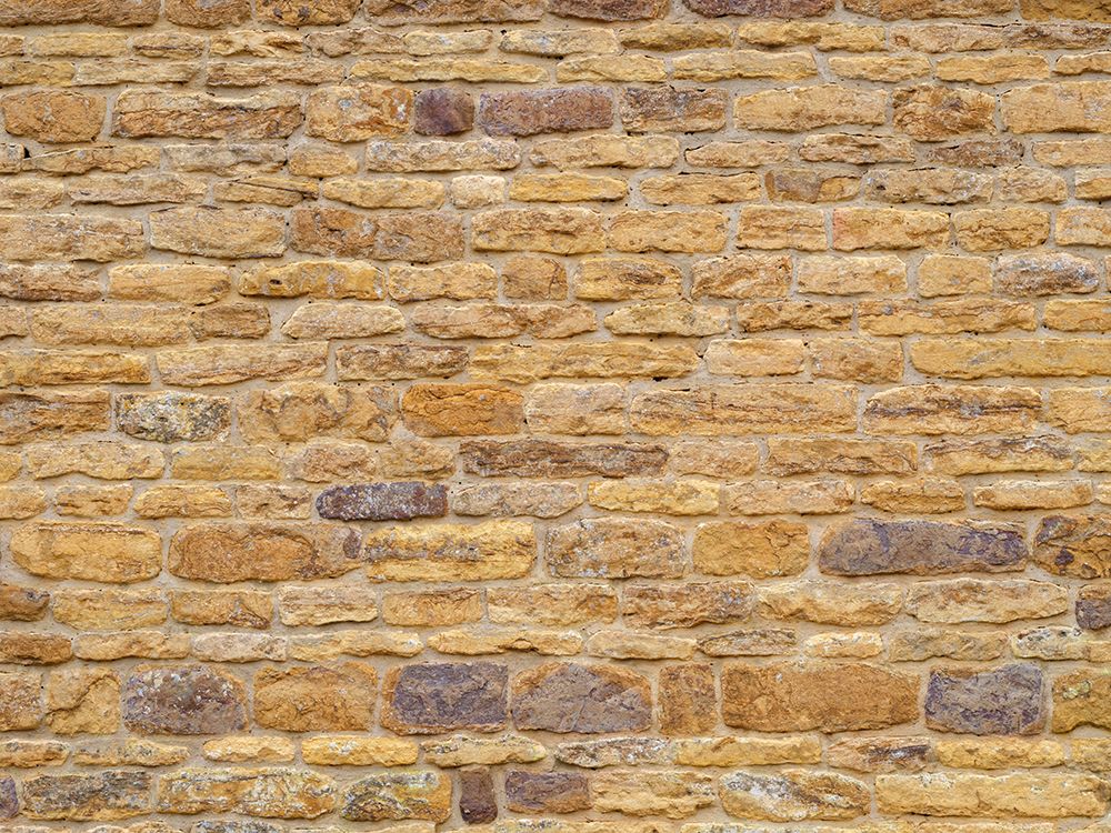 Brick Wall art print by Assaf Frank for $57.95 CAD