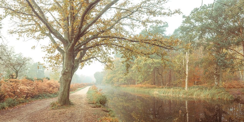 Canal on a autumn day art print by Assaf Frank for $57.95 CAD