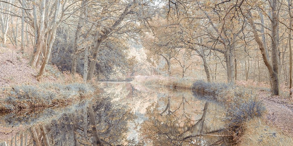 Canal through forest art print by Assaf Frank for $57.95 CAD