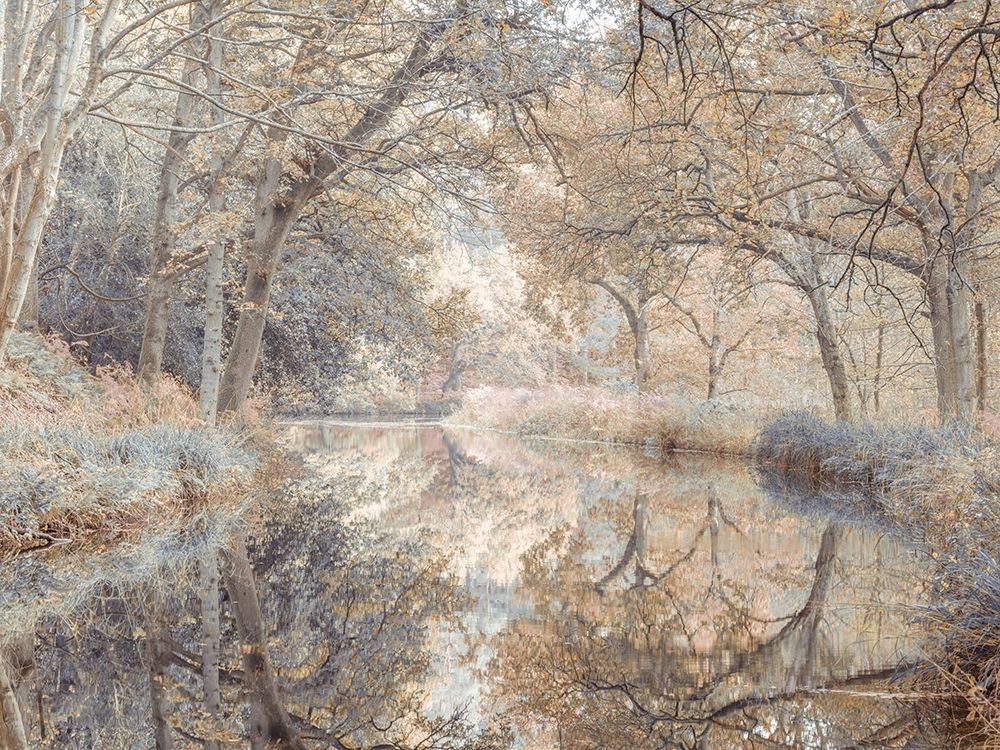 Canal through forest art print by Assaf Frank for $57.95 CAD
