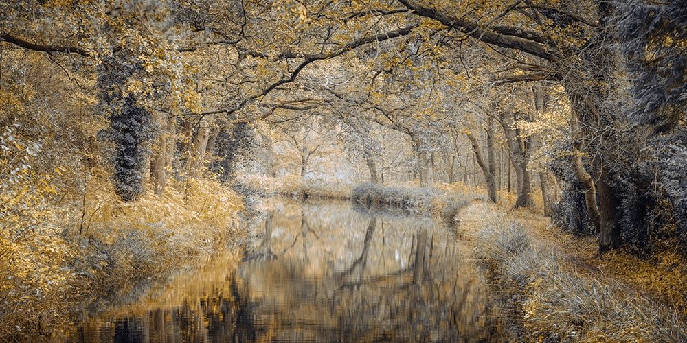 Canal through forest art print by Assaf Frank for $57.95 CAD