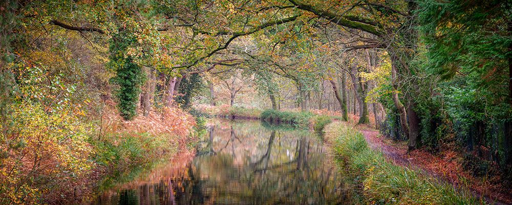 Canal through forest art print by Assaf Frank for $57.95 CAD